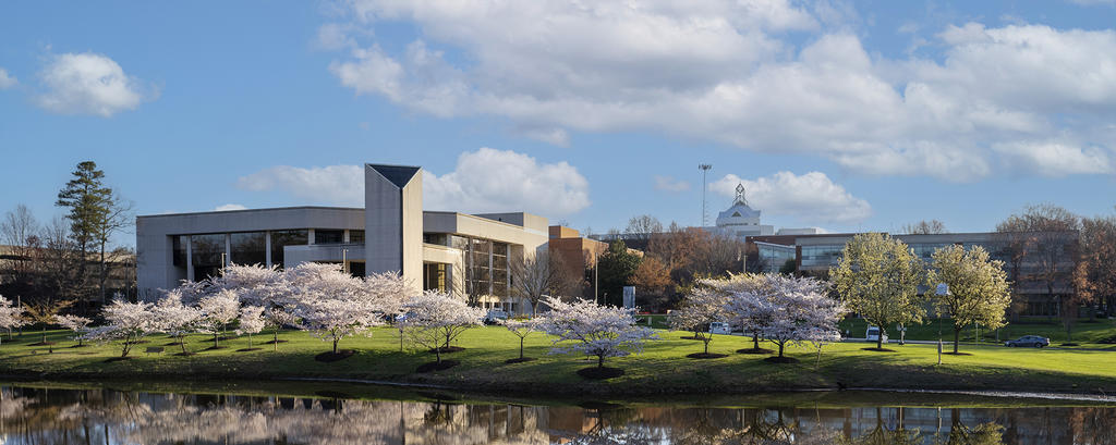 Mason campus and pond with blue sky and cherry blossoms